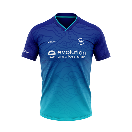 ÉVOLUTION T Shirt Bleu et blanc